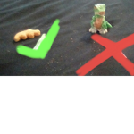 Dino ##### group