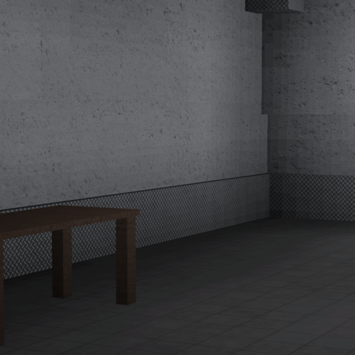 The Mental Hospital