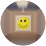 GRIN.png