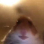 Sometimes little ##### ##########