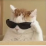 Tʜᴇ ᴘɪxɪᴇs