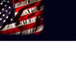 Secret Service [SS] RCPD:FR Division