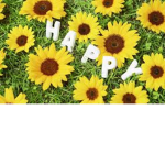 Sunflower_SquadForever