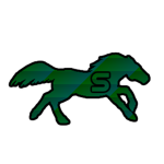 Stallion Studios