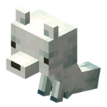 Lubie Placki XDD