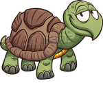 TURTLE SQUAD!!!