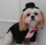 Stop animal abuse!!! :(