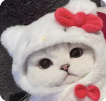 나랑 놀사람><