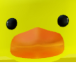 Ducky gang gang