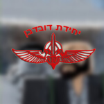 [Unit 217] Duvdevan Special Forces