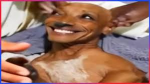 funny unny community