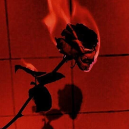 𝓉𝒽𝒾𝓃𝑔𝓈