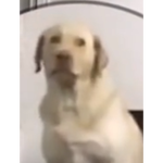 Epic GaMërS