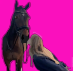 ~sunsetsafari~ Equestrian Centre
