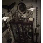 # : lightdoves designs .