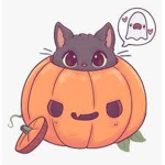 Pumpkin. <3