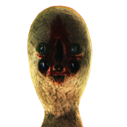 SCP TESTS