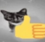 Kitteh33