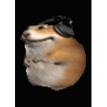 Capybaras Religión