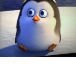 Penguins home