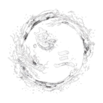 Ehsan | 恵三