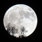 "Dark Side of the Moon"