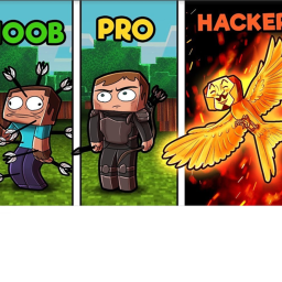 Noob vs pro vs hacker