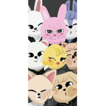 Skzoo group