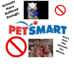 Stop Petstores