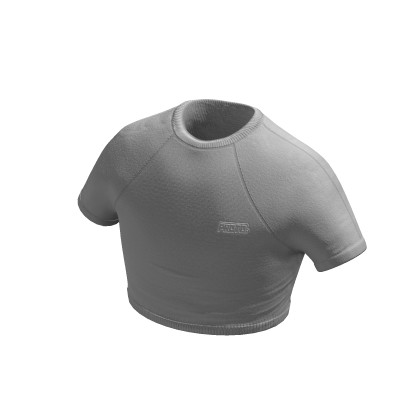Gray Crop Top thumbnail