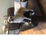 mollygirl0429 GROUP