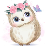 Owl paradise