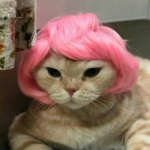 +~Chrissy's Fan Club~+
