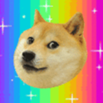 SO QUEM E BRASIL E AMA O DOGE