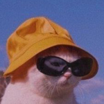 Kitty Cat Vibe