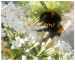 lovely’ emi c: