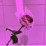 ROBLOX'S GENTLEMEN