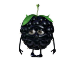 !COOLFRUITS!