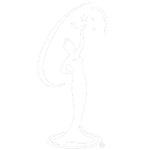 The Miss Universe Pageant Experience