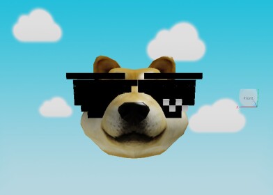 EPIC DOGE OBBY