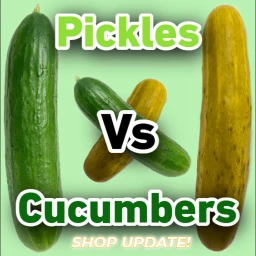 Pickle Vs Pre. Pickles (SHOP UPDATE!) [Beta] icon