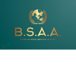 U.N. BSAA Special Operations Unit