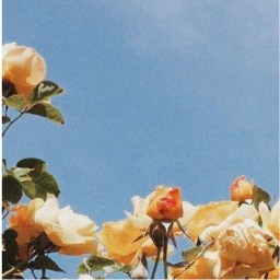 𝘆𝗼𝘂𝗿