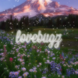 lovebugz homestore