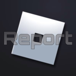 Roblox Reporting Service