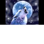 The Blue Wolf's Squad!