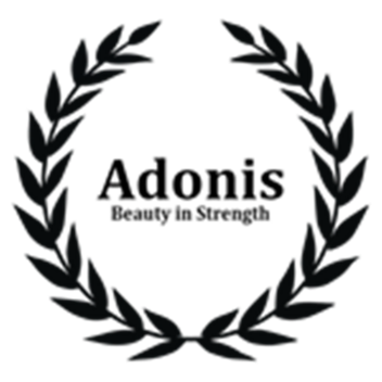 Adonis Admin Command 