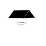 The Triangula Company