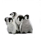 This Immensely Hard To Name Group.
