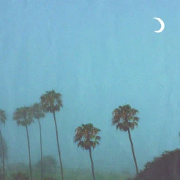 lonely feelings icon